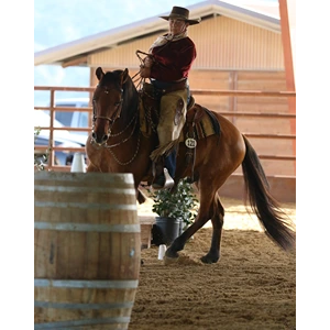 Sue Watkins Professional Instructor