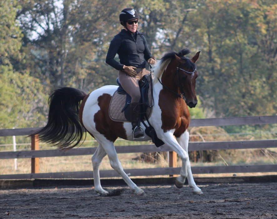 Kimberlee Barker riding Minuet's Meni Promises