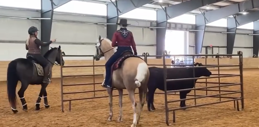 Betty Jumper penning cow at Three Bulls Classic
