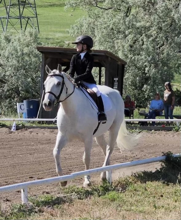 9 year old Maerin Grout riding Bandit Region 3