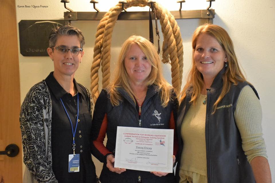 Image of Tracey Erway at Working Equitation judge training in Texas.