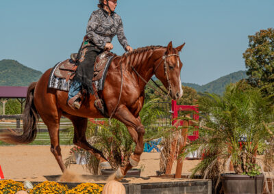 R5 January 2025 News