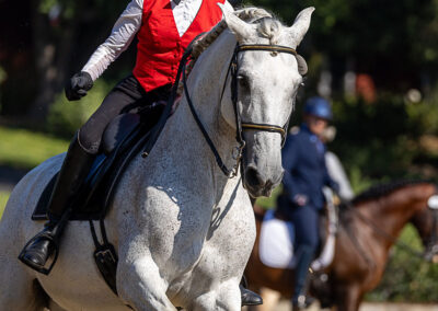 Licensed Official Sarah Pinney from “r” judge to “R” judge