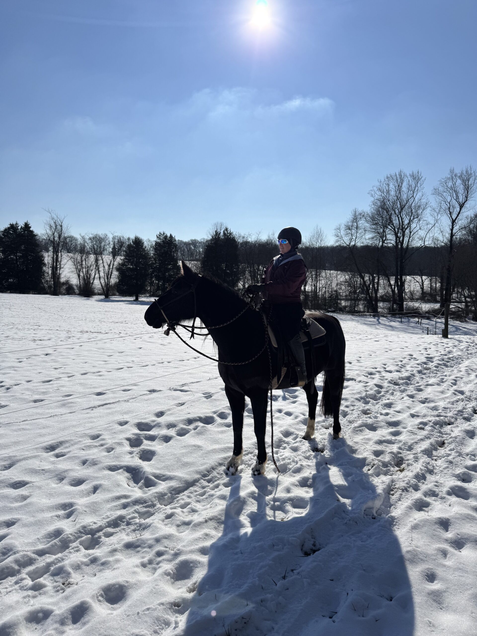 Director at Large Holly Linz on a snowy ride in the sunshine