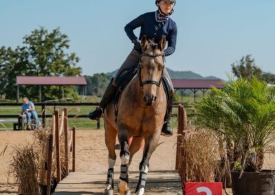 R7 February 2025 News