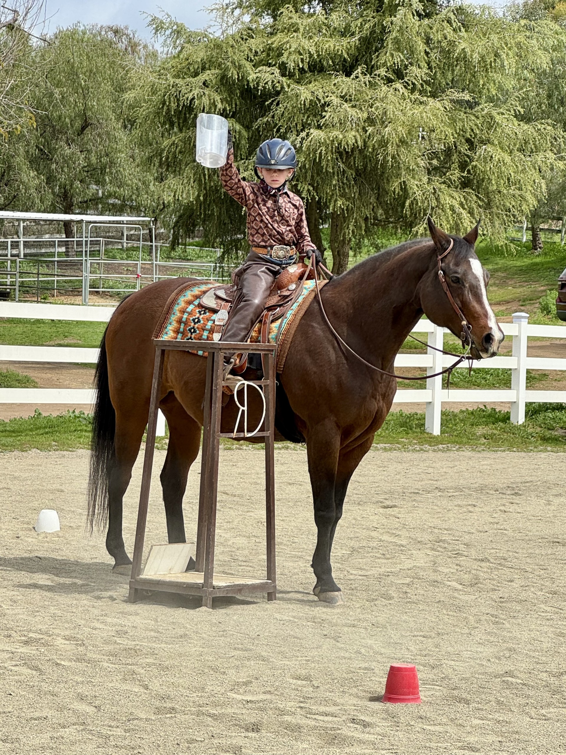 Cattle Trail Working Equitation Flyer