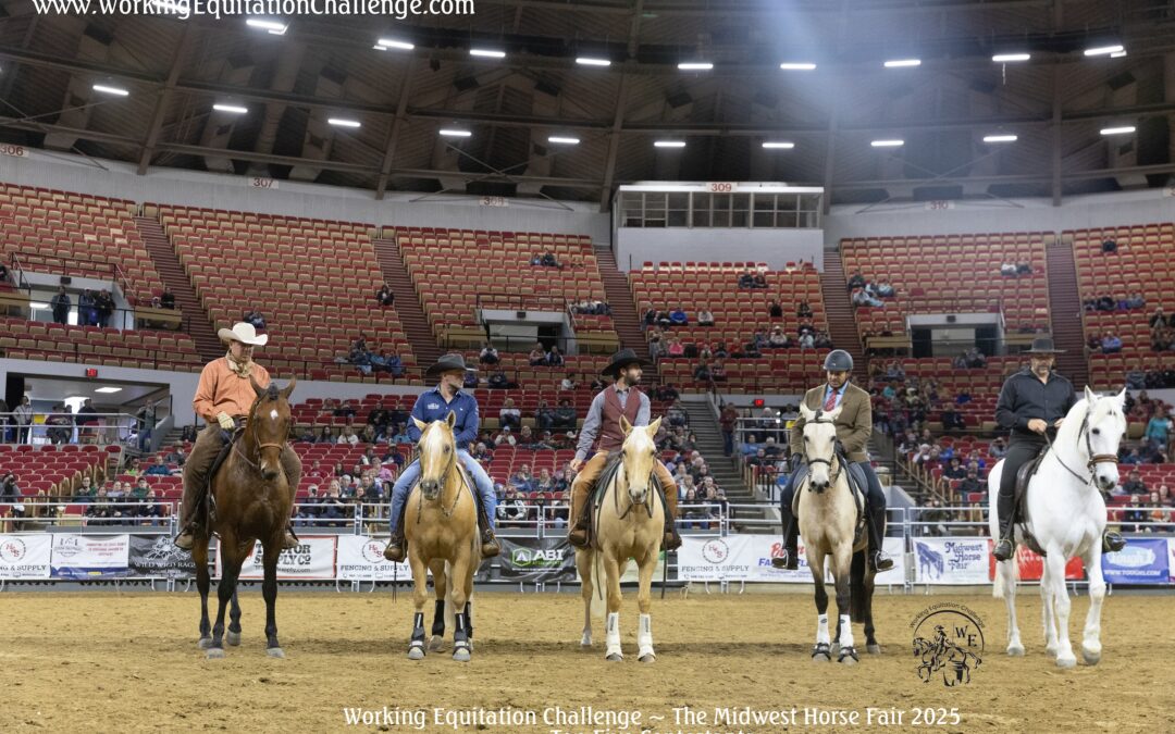 Working Equitation Challenge at The Midwest Horse Fair