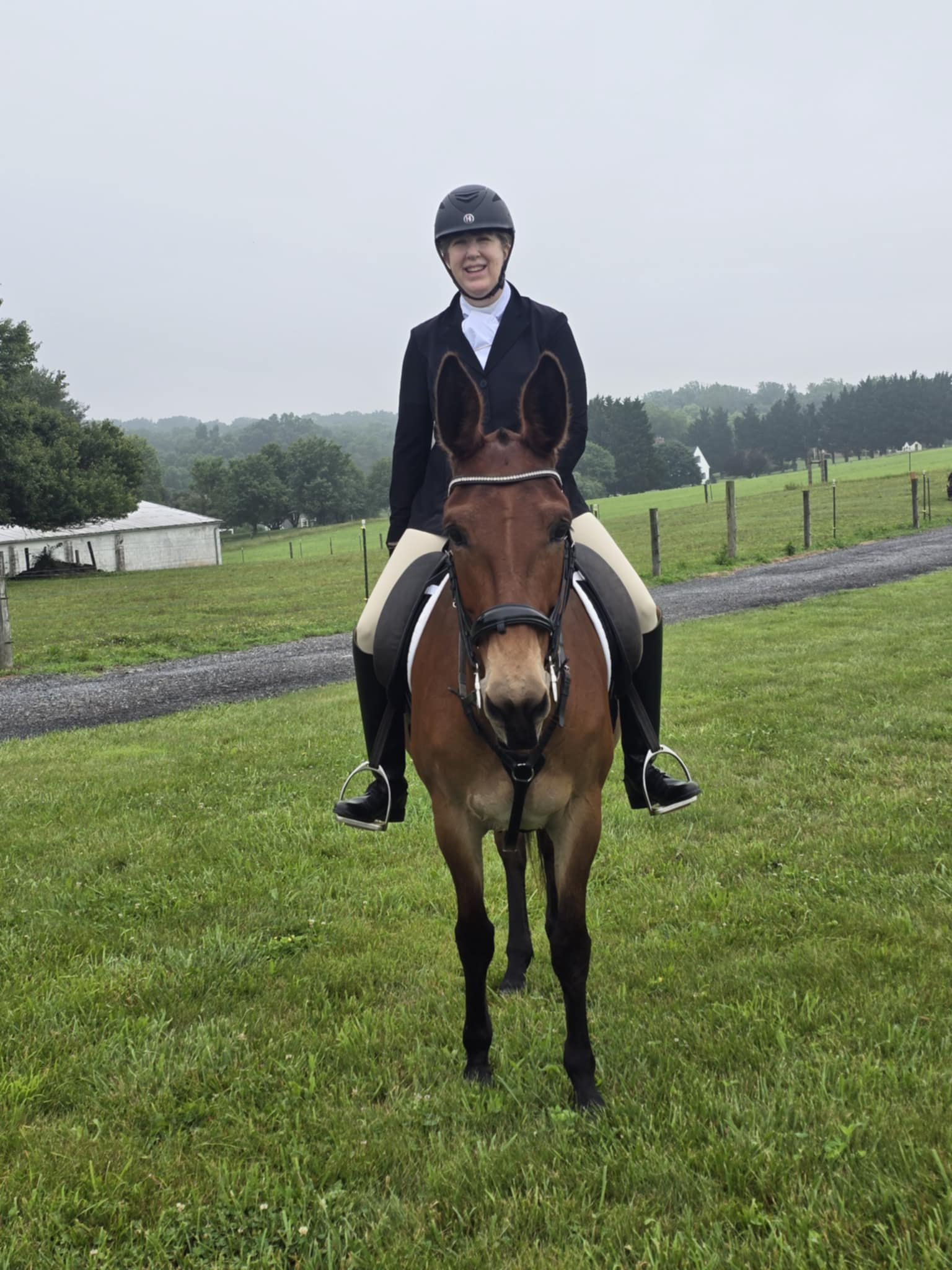 Heather Greenstone on her awesome mule Maggie